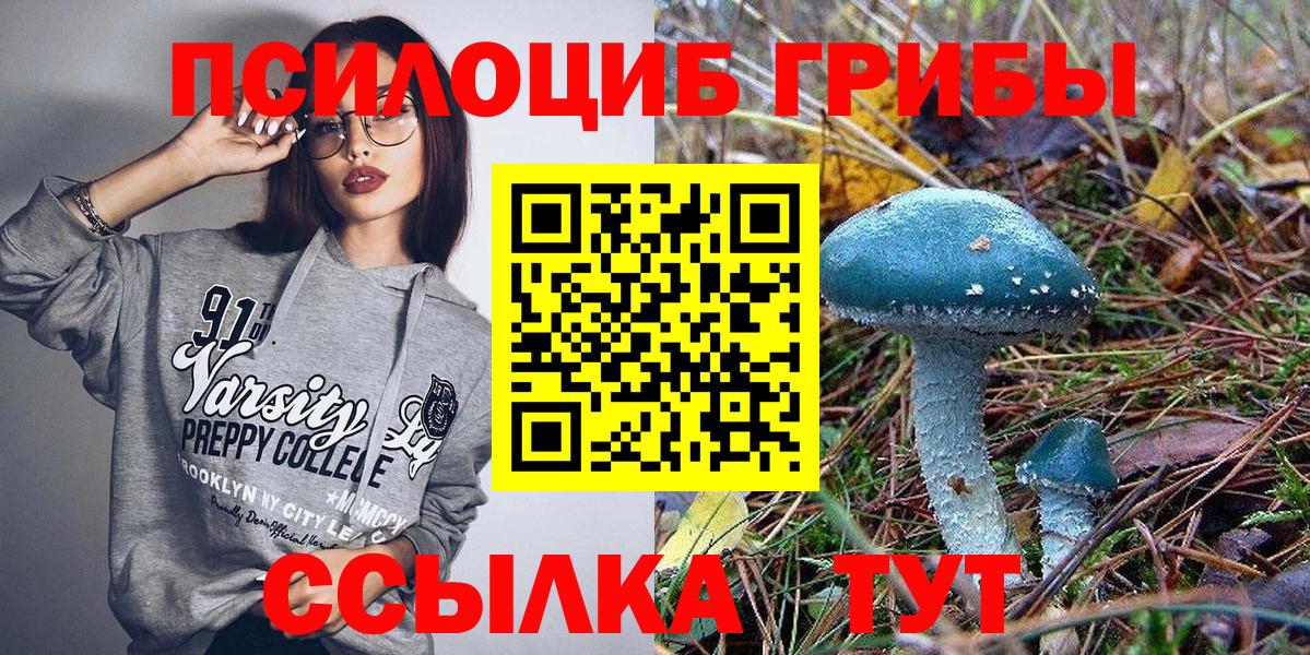 как найти наркотики  Галлюциногенные грибы MAGIC MUSHROOMS  Галлюциногенные грибы мухоморы  Вход с VPN  Октябрьский 